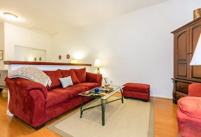 Cow Hollow Studio Apartments
