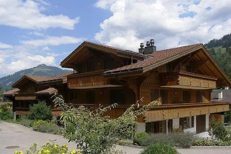 Top Floor Gstaad Velvet Luxury Chalet Next to Cross Country Ski Trail