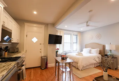 Sunny and Spacious Furnished Brighton Studio