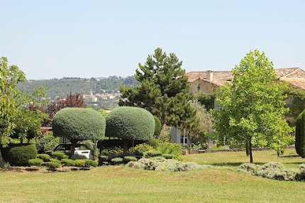 Gorgeous Provencal Mas Near Lacoste
