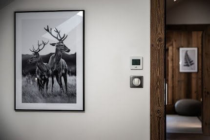 COZY MOUNTAIN CHALET IN CHAMONIX