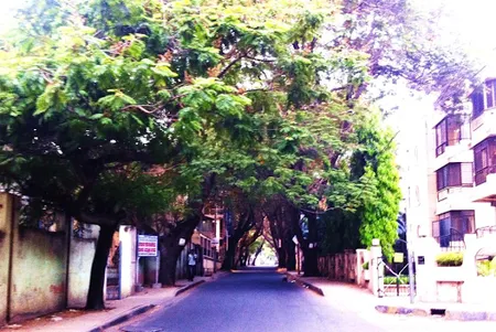 Primrose Road Apartments