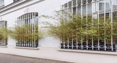 SPRAWL OUT ON A DESIGNER LOFT LATIN QUARTER