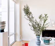 507 O Street NW Unit 5