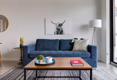 Holcombe Blvd Apartment