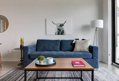 Holcombe Blvd Apartment