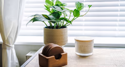 1BR Designer apartment for City Breaks in Chester.