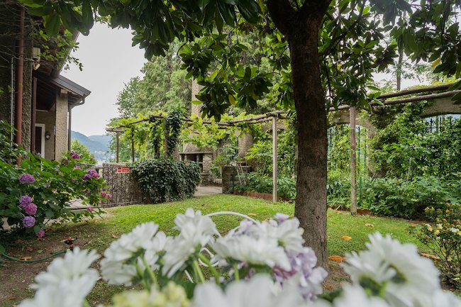 Ronco Dell'Abate