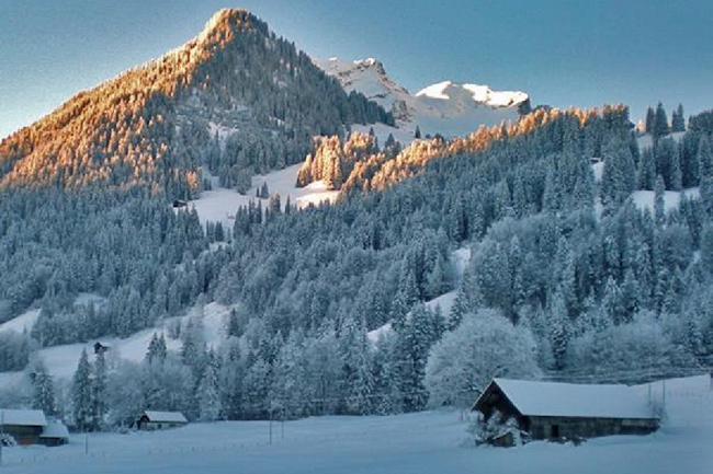 Top Floor Gstaad Velvet Luxury Chalet Next to Cross Country Ski Trail