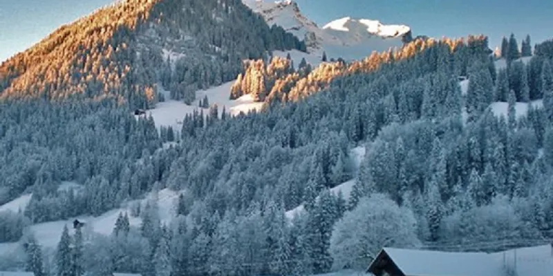 Top Floor Gstaad Velvet Luxury Chalet Next to Cross Country Ski Trail