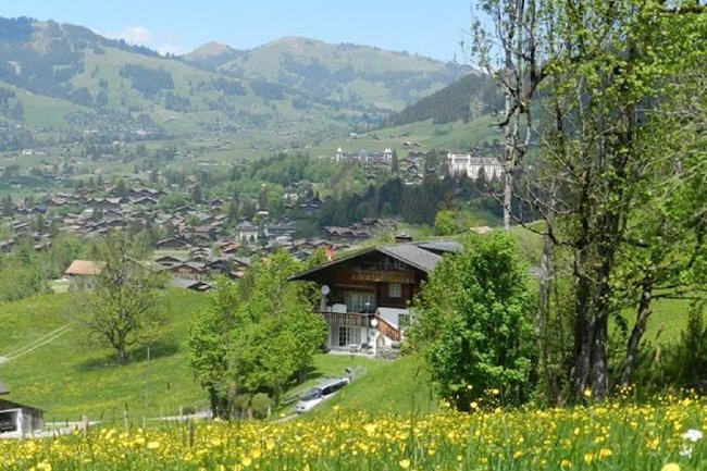 Sun Drenched Lawn and Chalet in Gstaad