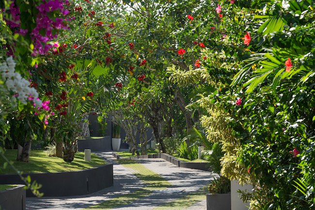 A Villa Paradise in the Heart of Seminyak