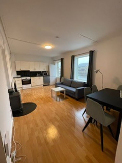 Drammen Serviced Apartment