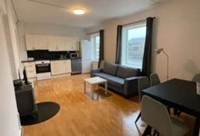 Drammen Serviced Apartment