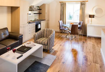 Baggot Rath Apartment Ballsbridge