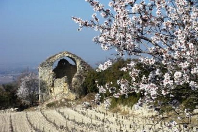 A Dream French House at the Foot of Mont Ventoux