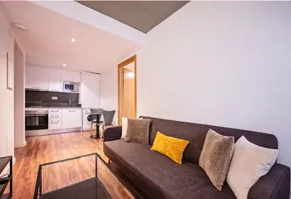 Roma Entresuelo A Serviced Apartment