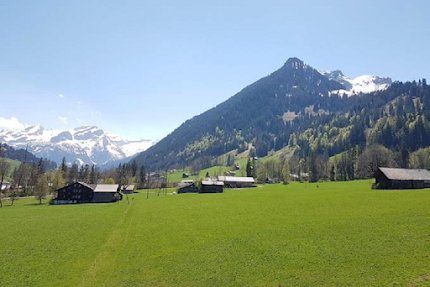 Top Floor Gstaad Velvet Luxury Chalet Next to Cross Country Ski Trail