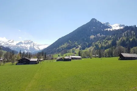 Top Floor Gstaad Velvet Luxury Chalet Next to Cross Country Ski Trail