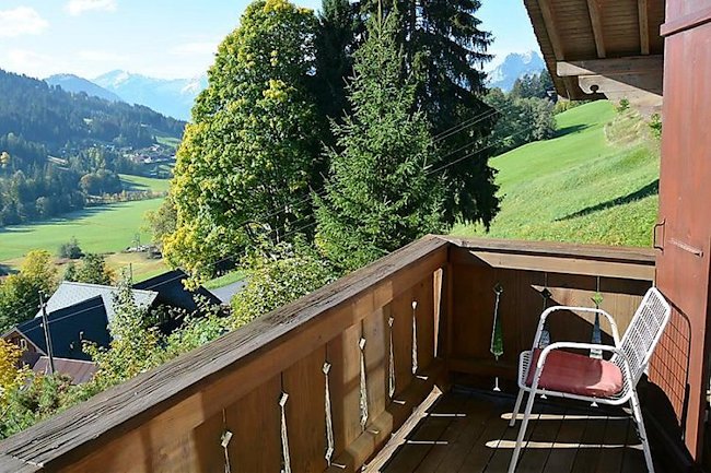 19th Century Sun Drenched Chalet With View of Hornberg