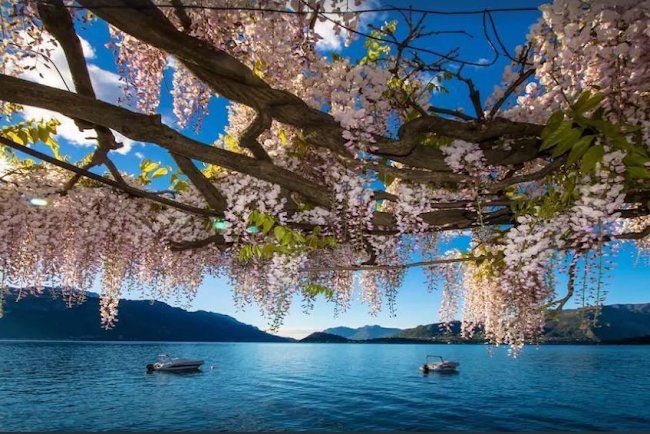 Lap up Some Menaggio fun and Lake Como Relaxation in This Luxury Family Villa!