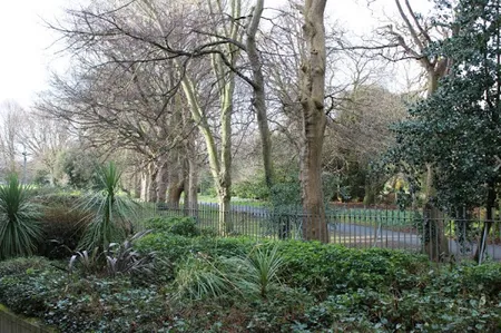 Herbert Park Lane II