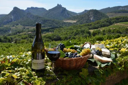 A Dream French House at the Foot of Mont Ventoux