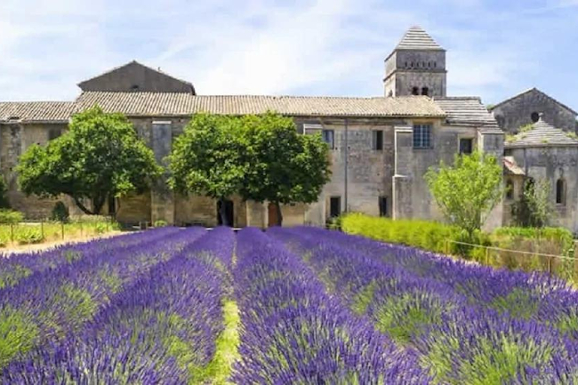 A Beautiful Provencal Mas in Saint Remy