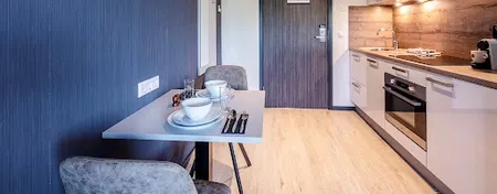 Luxury  Utretch Serviced Apartment