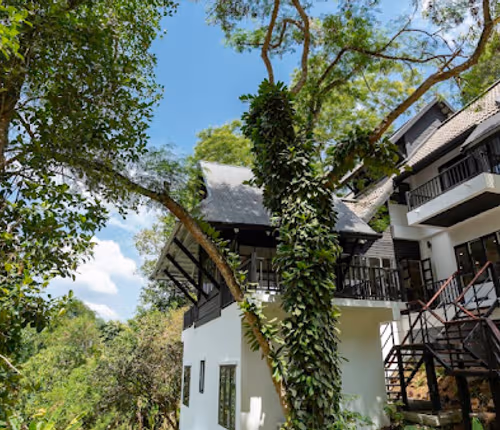 Patong Garden House-  6 Bed Luxury Villa in Patong Hill