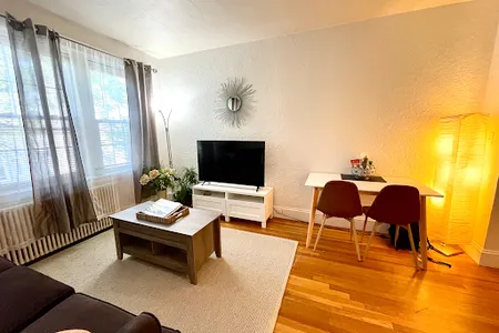 Sunny Renovated Apartment Near Boston University