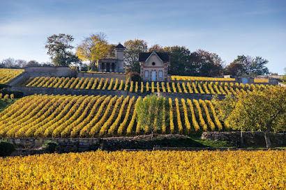 A DREAM FAIRY TALE CHATEAU IN THE FAMED VINEYARDS OF MEURSAULT BURGUNDY
