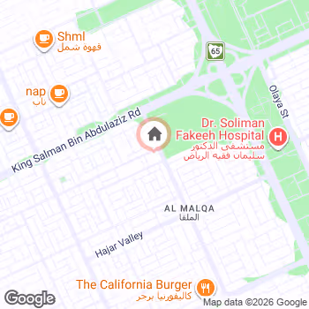 map snapshot