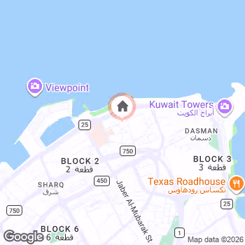 map snapshot