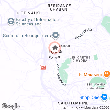 map snapshot