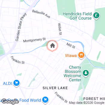 map snapshot
