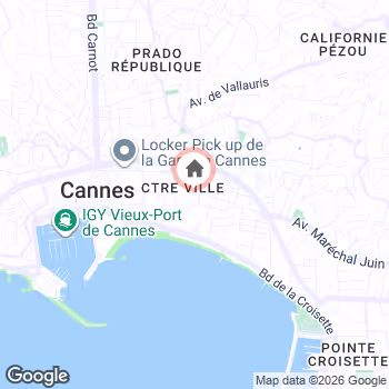 map snapshot