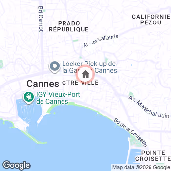 map snapshot