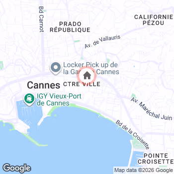 map snapshot