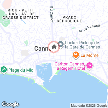 map snapshot