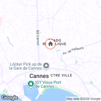 map snapshot