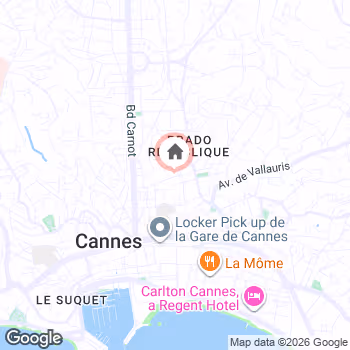 map snapshot