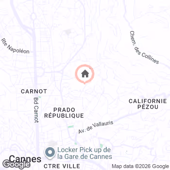 map snapshot