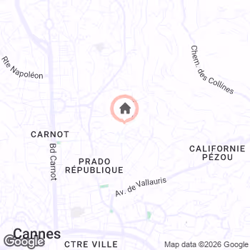 map snapshot