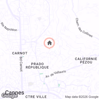 map snapshot
