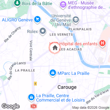 map snapshot