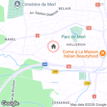 map snapshot