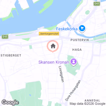 map snapshot
