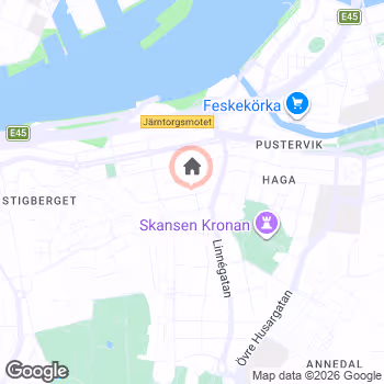 map snapshot