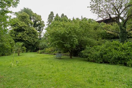 Ronco Dell'Abate